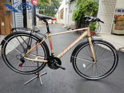 Xe đạp đường phố California city 300