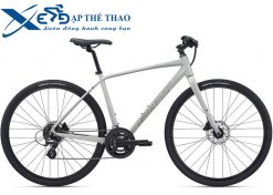 Xe đạp đường phố Touring Giant Escape 1 DISC 2021