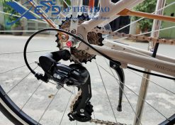 Xe đạp thành phố Giant Ineed Mocha 2021