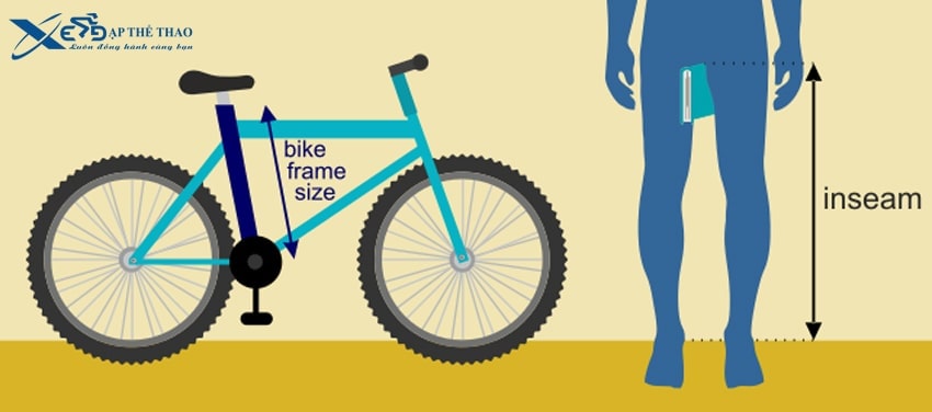 Cách lựa chọn size xe đạp phù hợp