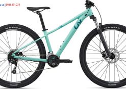 Xe đạp MTB nữ Giant Liv Tempt 2 | Bản 2023