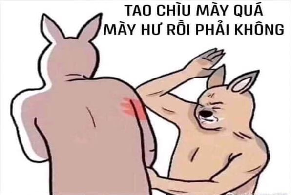 Meme thể hiện tư tưởng, góc nhìn của người dùng