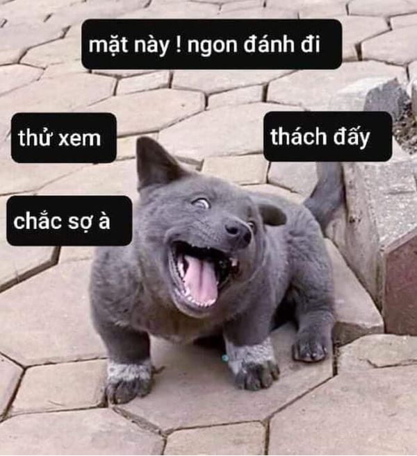 Tất cả các meme đều mang tính hài hước giải trí nên sức lan truyền cao